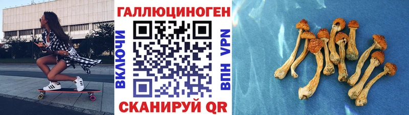 Купить закладки  Дорогобуж  Псилоцибиновые грибы прущие грибы 